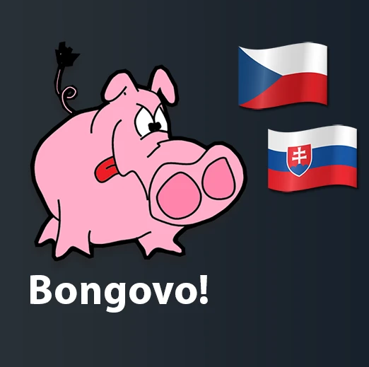 Instalátor překladů Bongovo!